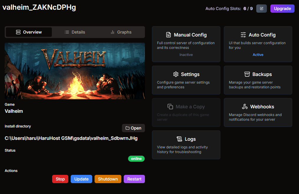 Valheim Server Configuration with auto-config support