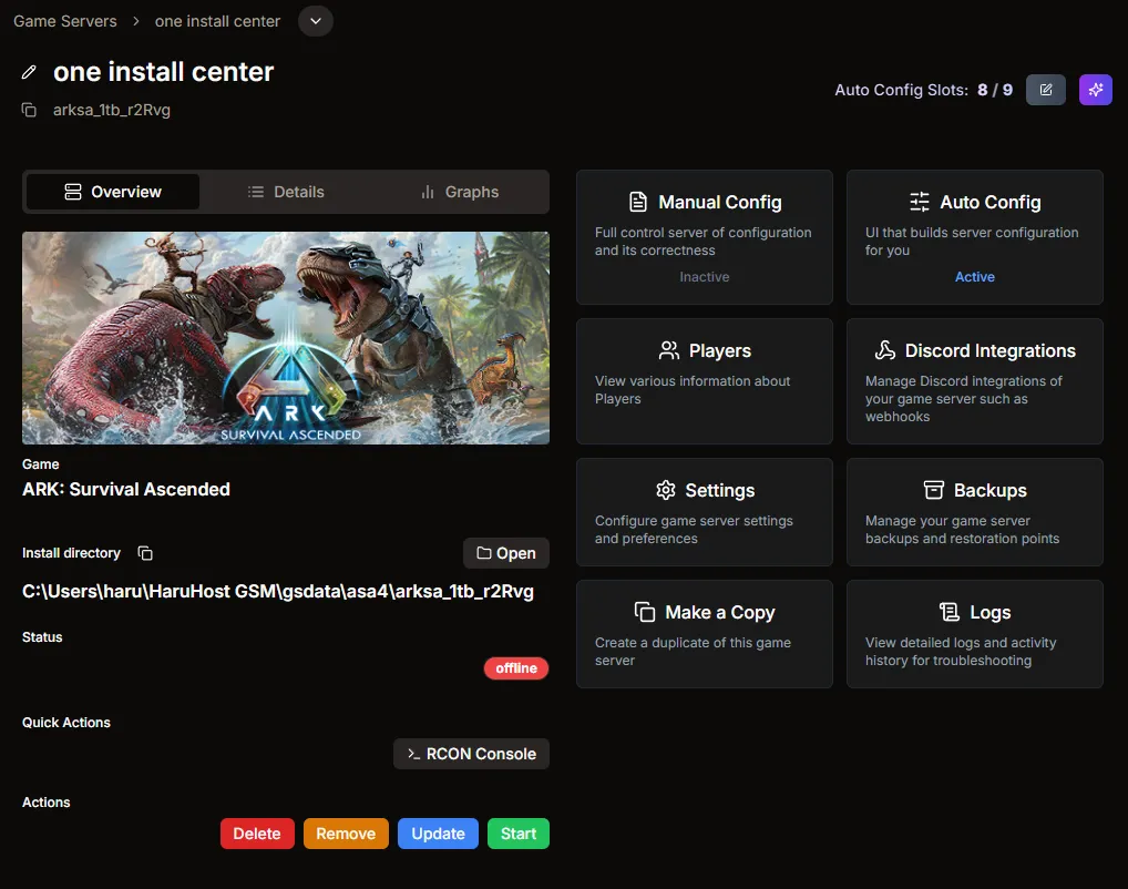 Game server overview showing Auto Config and Manual Config cards side by side