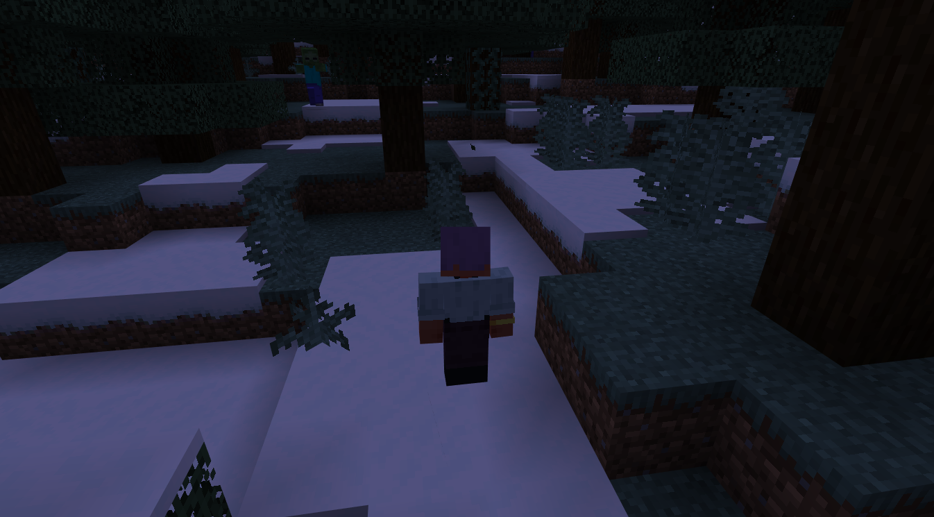 Minecraft Bedrock gameplay after joining a server