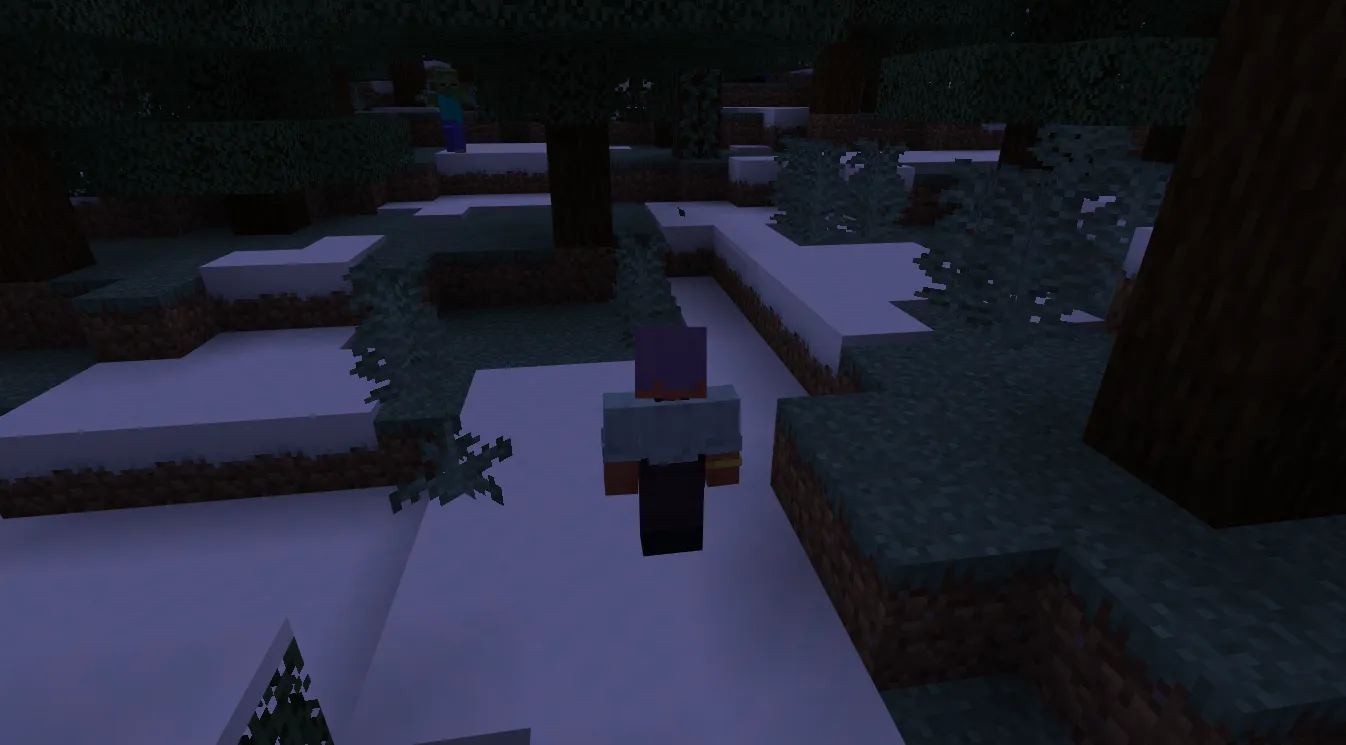 Minecraft Bedrock gameplay after joining a server