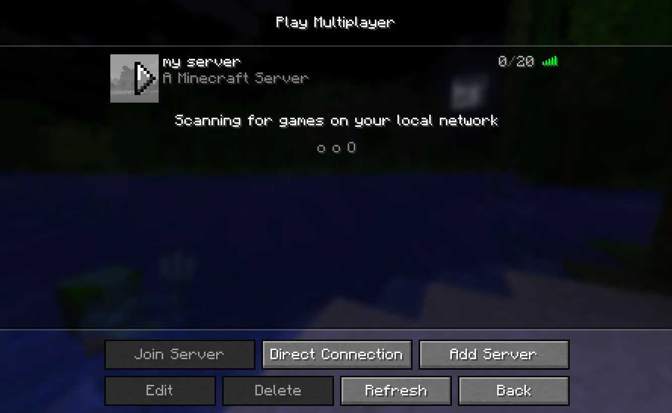 Minecraft Java Multiplayer list showing the saved server entry