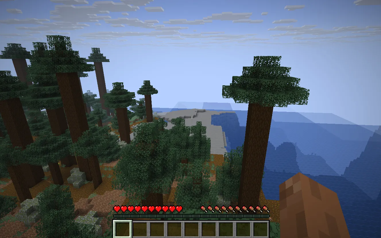 Minecraft Java gameplay after successfully joining the server world