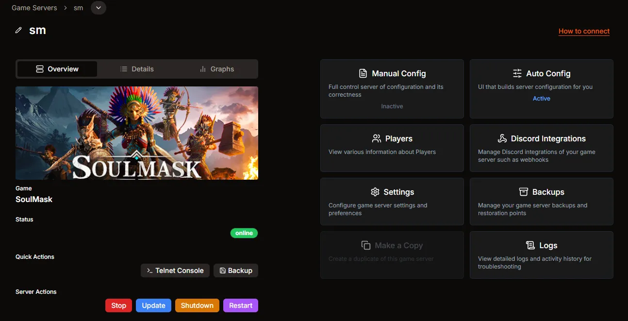 Soulmask server overview page in HaruHost with the How to connect action visible